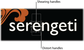 Figure. Canvas showing on-screen controls for  sequence text behavior.