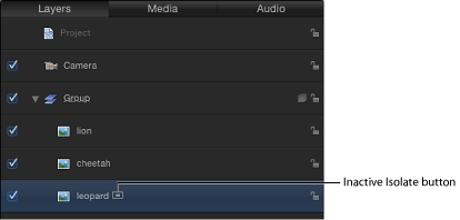Figure. Layers list showing Isolate button (inactive).