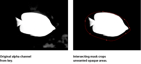 Figure. Canvas window showing two intersecting masks.