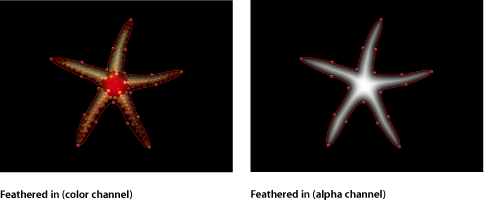 Figure. Canvas window showing a mask feathered in both color and alpha channel views.