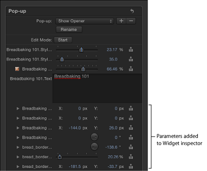 Figure. Inspector showing parameters added to the Widget inspector.