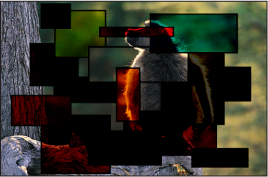 Figure. Canvas window showing the boxes and the monkey blended using the Linear Burn mode.