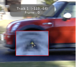 Figure. Canvas window showing magnified area that appears when dragging a track point.