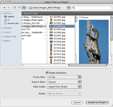 Figure. Import Files as Project dialog.