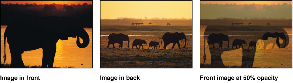 Canvas showing the effect of decreasing an object's opacity