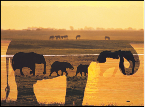 Canvas showing two objects blended using the Screen blend mode