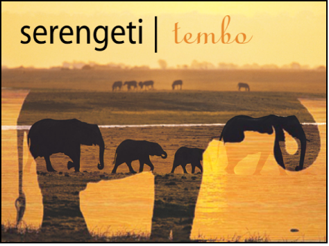 Canvas showing an object above the blended layers