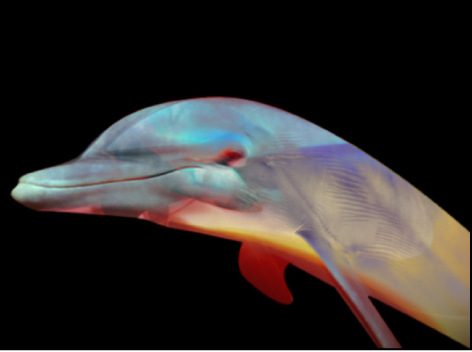 Canvas showing blended objects with Preserve Opacity turned on