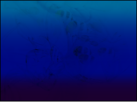 Canvas showing groups multiplied together