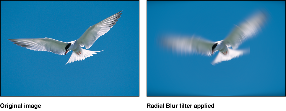 Canvas showing effect of Radial Blur filter