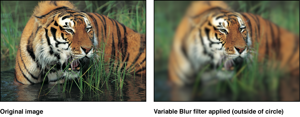 Canvas showing effect of Variable Blur filter