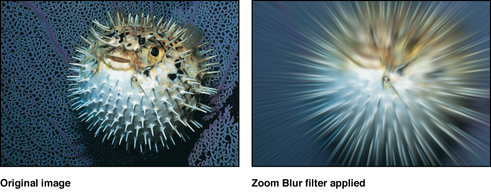 Canvas showing effect of Zoom Blur filter
