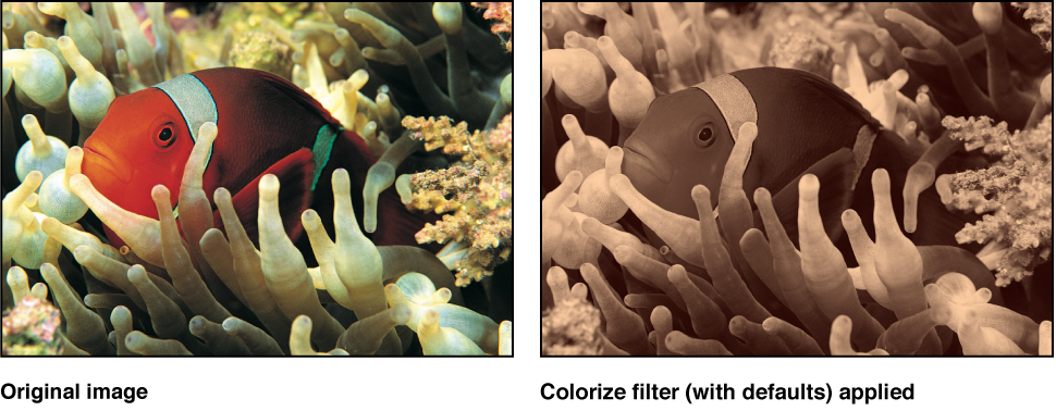 Canvas showing effect of Colorize filter