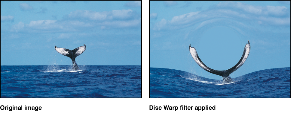 Canvas showing effect of Disc Warp filter