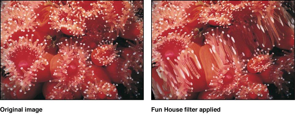 Canvas showing effect of Fun House filter