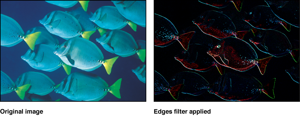 Canvas showing effect of Edges filter