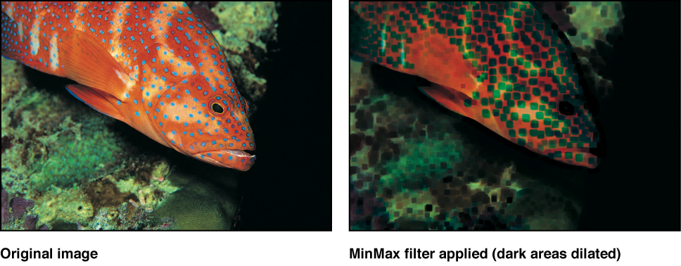 Canvas showing effect of MinMax filter