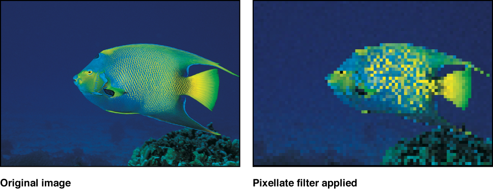 Canvas showing effect of Pixellate filter