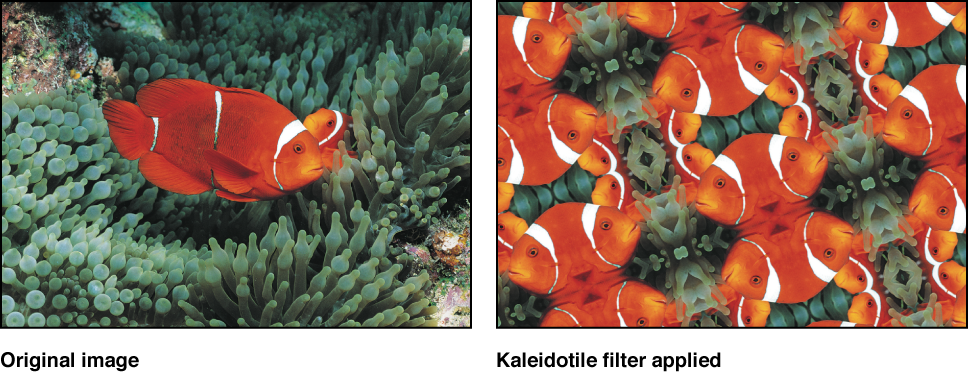 Canvas showing effect of Kaleidotile filter