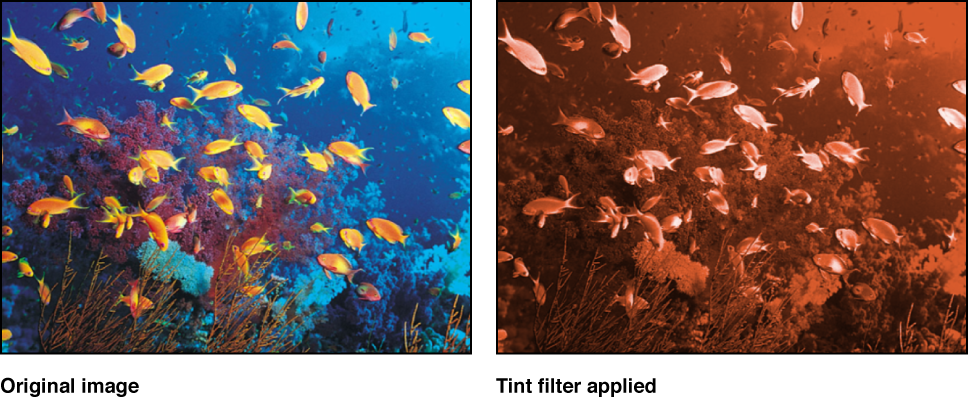 Canvas showing effect of Tint filter