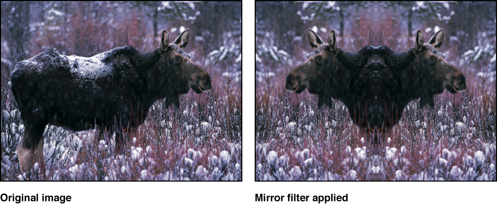 Canvas showing effect of Mirror filter