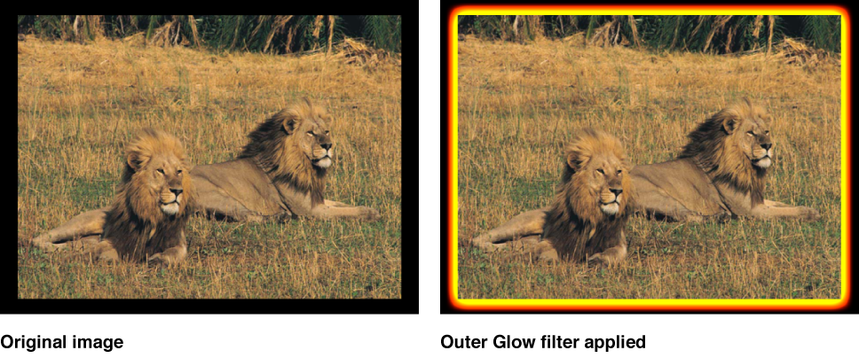 Canvas showing effect of Outer Glow filter