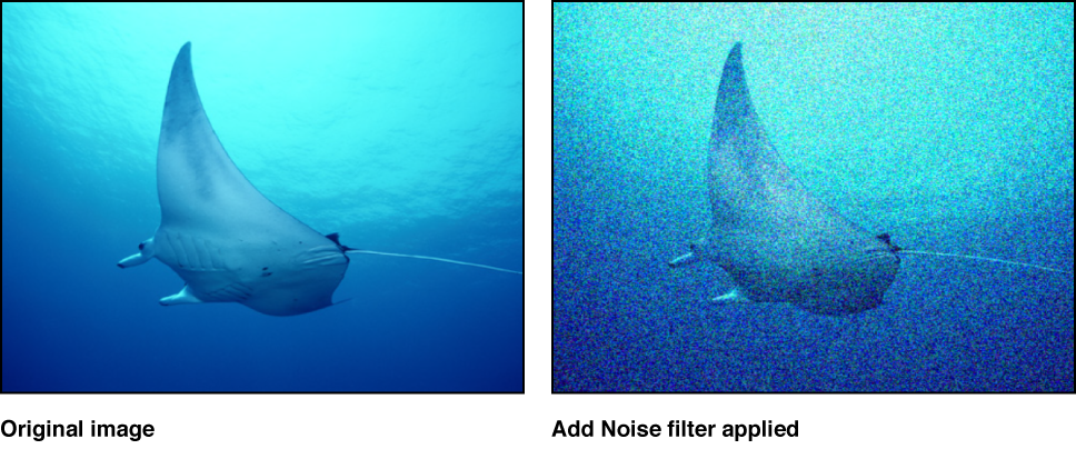 Canvas showing effect of Add Noise filter