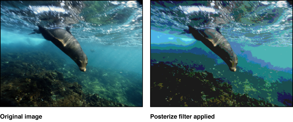 Canvas showing effect of Posterize filter