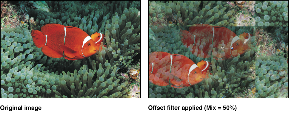 Canvas showing effect of Offset filter