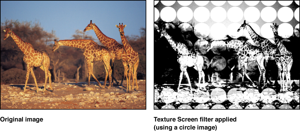 Canvas showing effect of Texture Screen filter