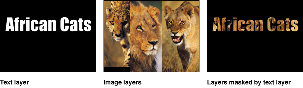 Canvas showing example of image mask