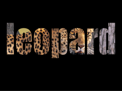 Canvas showing completed image mask