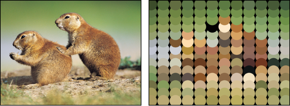  Canvas showing replicator set to Take Image Color