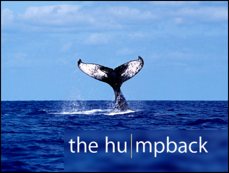 Canvas showing text being kerned