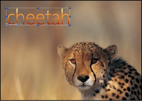 Canvas showing text with gradient applied