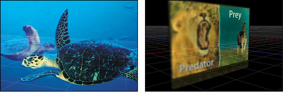 Canvas showing examples of Depth of Field effect in use