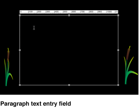 Canvas showing paragraph text entry field
