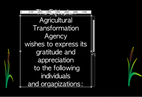 Canvas showing text entry field resized with Text tool