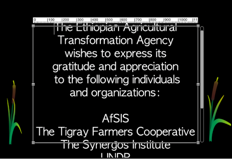 Canvas showing paragraph text entry field with scroll control