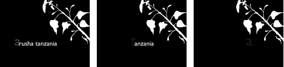 Canvas showing Sequence Text behavior animating over time