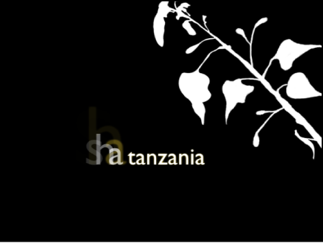 Canvas showing Sequence Text behavior with glow setting adjusted