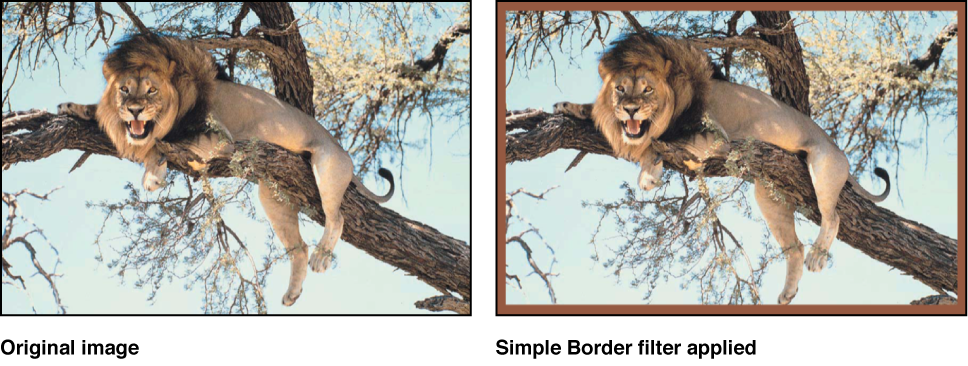 Canvas showing effect of Simple Border filter