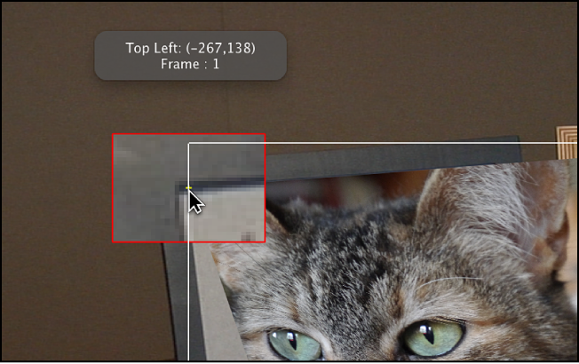 Canvas showing magnified inset that appears when tracker is dragged