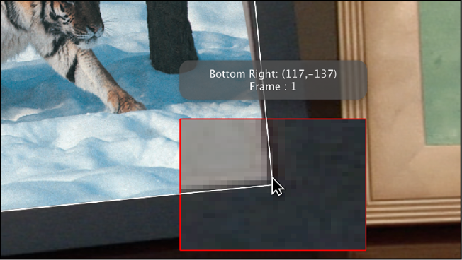 Canvas showing magnified tracker position