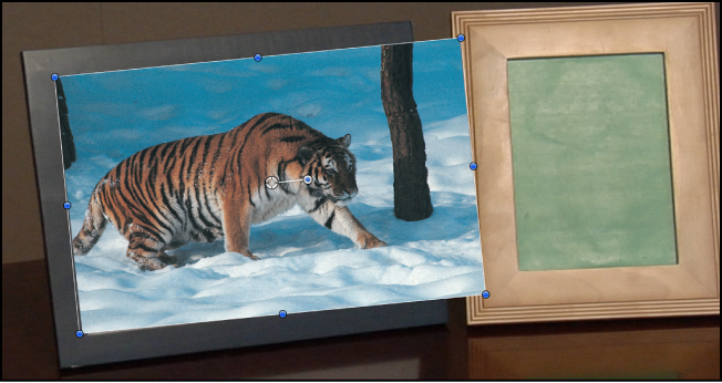 Canvas showing tracked object that doesn't fit the frame