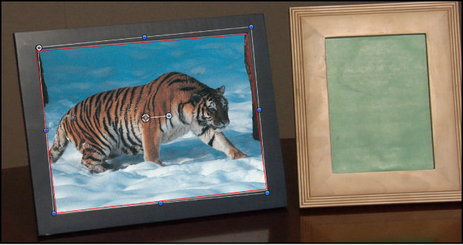 Canvas showing tracked object with mask applied