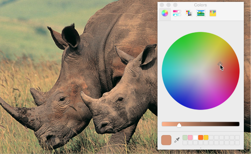 Using Colors window to rebalance color of an image