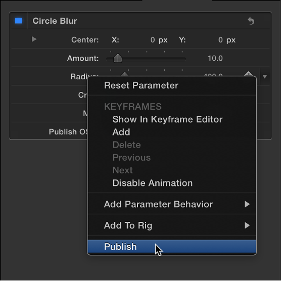 Publishing filter parameter from shortcut menu