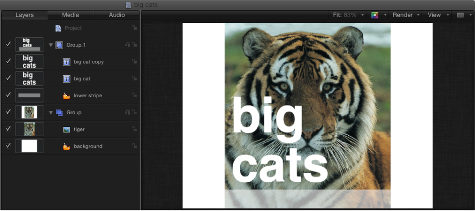 Layers list and Canvas showing rasterized group