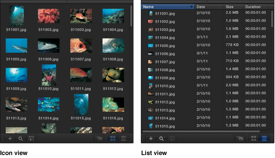File Browser showing icon view and list view